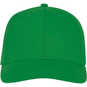 Ares 6 panel cap, Fern green (Hats)