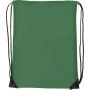 Polyester (210D) drawstring backpack, green