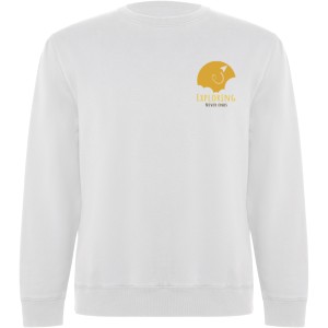 Batian unisex crewneck sweater, White (Pullovers)