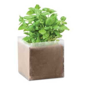 Compost with seeds "BASIL", Beige