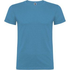 Beagle short sleeve kids t-shirt, Turquois (T-shirt, 90-100% cotton)