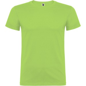 Beagle short sleeve men's t-shirt, Oasis Green (T-shirt, 90-100% cotton)