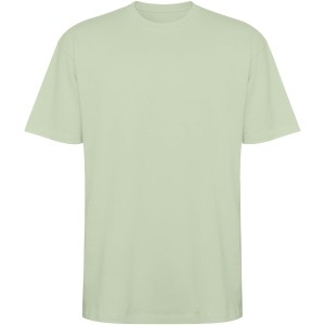 Bull short sleeve unisex oversized t-shirt, Mist Green