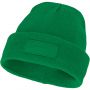 Boreas beanie with patch, fern green