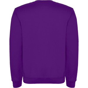 Clasica kids crewneck sweater, Purple (Pullovers)