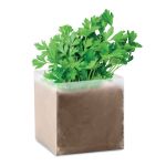 Compost with seeds "PARSLEY", Beige (MO9547-13)