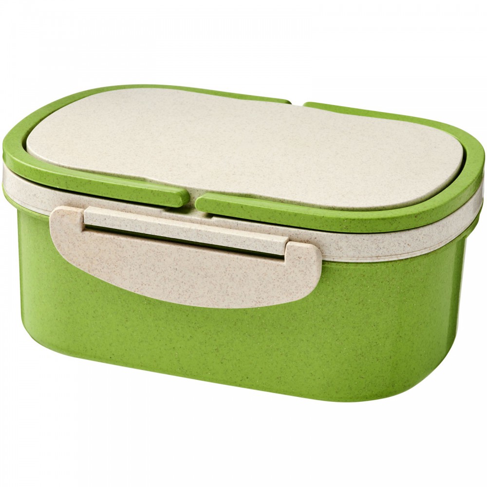 recycled plastic lunch box