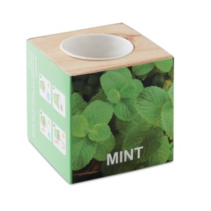 Herb pot wood "MINT", Wood