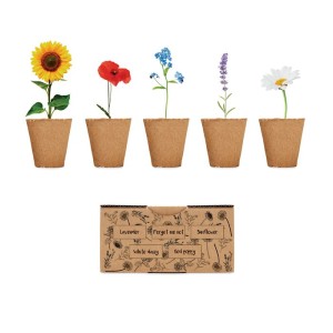 Flowers growing kit (unknown)