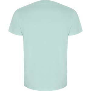 Golden short sleeve men's t-shirt, Mint (T-shirt, 90-100% cotton)