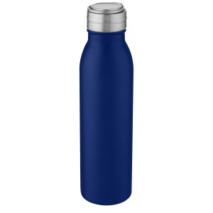 Harper 700 ml stainless steel sport bottle with metal loop, 