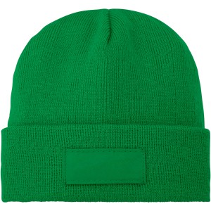 Boreas beanie with patch, fern green (Hats)