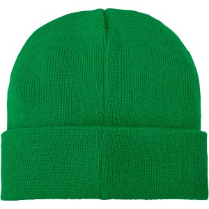 Boreas beanie with patch, fern green (Hats)