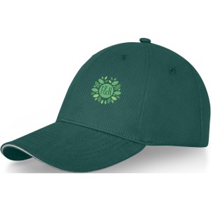 Darton 6 panel sandwich cap, Forest green (Hats)