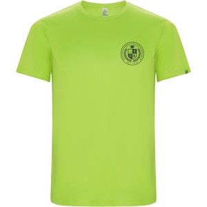 Imola short sleeve men's sports t-shirt, Fluor Green (T-shirt, mixed fiber, synthetic)