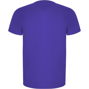 Imola short sleeve men's sports t-shirt, Mauve (T-shirt, mixed fiber, synthetic)