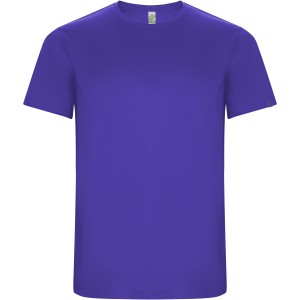 Imola short sleeve men's sports t-shirt, Mauve (T-shirt, mixed fiber, synthetic)