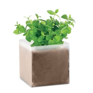Compost with seeds "MINT", Beige