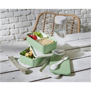 MIYO Renew double layer lunch box, Seaglass green, Seaglass  (Plastic kitchen equipments)