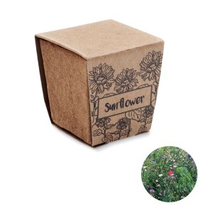 Sunflower growing kit, Beige