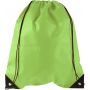 Nonwoven (80 gr/m2) drawstring backpack Nathalie, lime