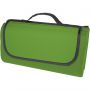 Salvie recycled plastic picnic blanket, Green