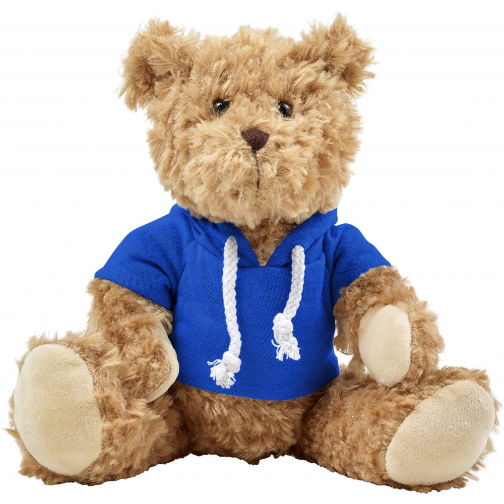 teddy bear with hoodie