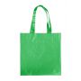Paper carrying bag, green