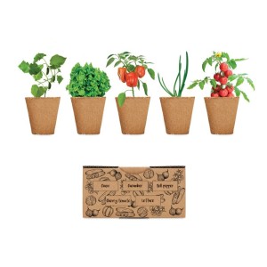 Salad growing kit, Beige