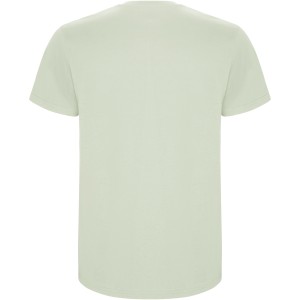 Stafford short sleeve kids t-shirt, Mist Green (T-shirt, 90-100% cotton)