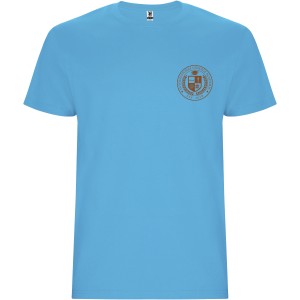 Stafford short sleeve men's t-shirt, Turquois (T-shirt, 90-100% cotton)