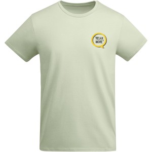 Breda short sleeve men's t-shirt, Mist Green (T-shirt, 90-100% cotton)