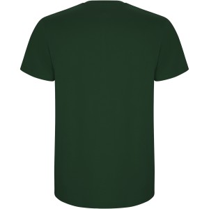 Stafford short sleeve kids t-shirt, Bottle green (T-shirt, 90-100% cotton)