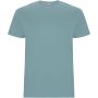 Stafford short sleeve kids t-shirt, Dusty Blue