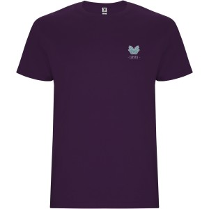 Stafford short sleeve kids t-shirt, Purple (T-shirt, 90-100% cotton)