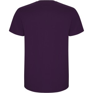 Stafford short sleeve kids t-shirt, Purple (T-shirt, 90-100% cotton)