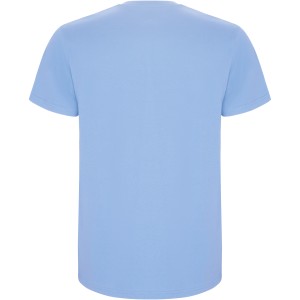 Stafford short sleeve kids t-shirt, Sky blue (T-shirt, 90-100% cotton)