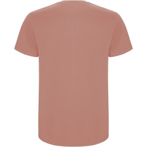 Stafford short sleeve men's t-shirt, Clay Orange (T-shirt, 90-100% cotton)