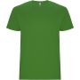 Stafford short sleeve men's t-shirt, Grass Green