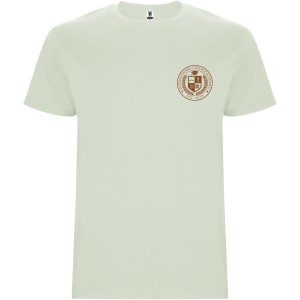 Stafford short sleeve men's t-shirt, Mist Green (T-shirt, 90-100% cotton)