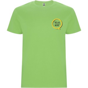 Stafford short sleeve men's t-shirt, Oasis Green (T-shirt, 90-100% cotton)