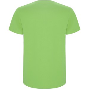 Stafford short sleeve men's t-shirt, Oasis Green (T-shirt, 90-100% cotton)