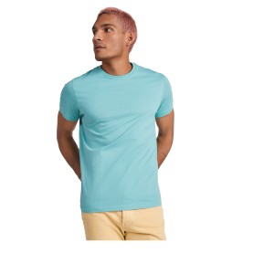 Stafford short sleeve men's t-shirt, Purple (T-shirt, 90-100% cotton)