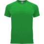 Bahrain short sleeve men's sports t-shirt, Green Fern