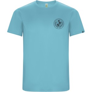 Imola short sleeve men's sports t-shirt, Turquois (T-shirt, mixed fiber, synthetic)