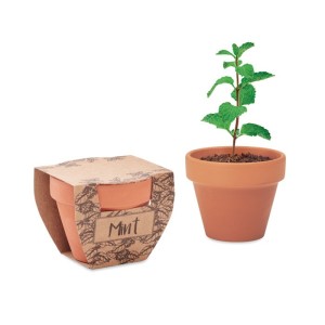 Terracotta pot mint seeds, Wood