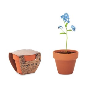 Terracotta pot 'forget me not', Wood