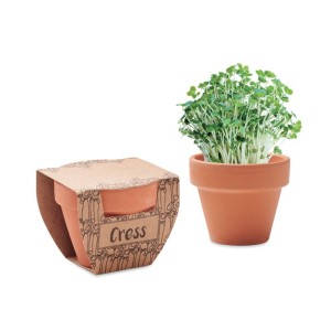 Terracotta pot cress seeds, Wood