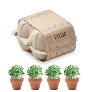 Egg carton growing kit, Beige