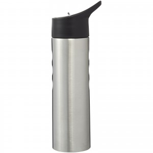 Trixie 750 ml stainless steel sport bottle, Silver (Sport bottles)